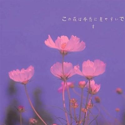 kaiyun体育全站app下载